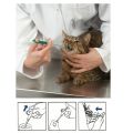 Fioniavet Kedi Köpek Hap Yutturma Aparatı. Yumuşak Uçlu